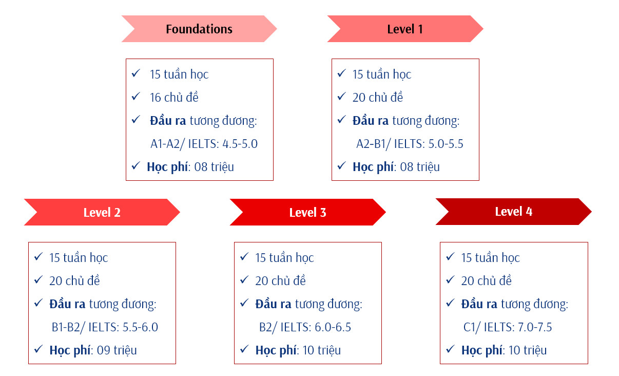 Lộ trình học Tiếng Anh Học Thuật - Academic English - YOURE